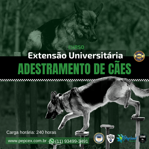 Image Title My Image